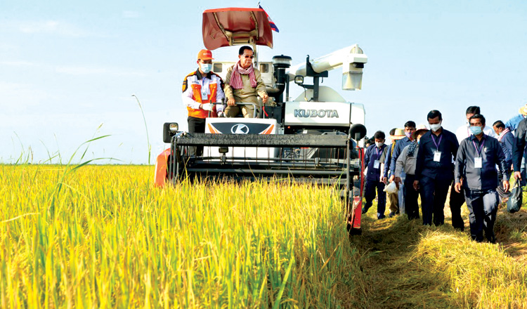 ប្រកាសឆ្នាំ ២០២០ ដល់ ២០៣០ ជាទសវត្សរ៍នៃកសិកម្ម